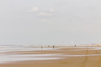 sea horizon during daytime