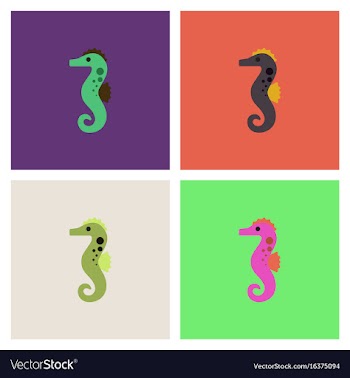 Sea horse collection vector image