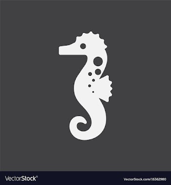 Sea horse vector image