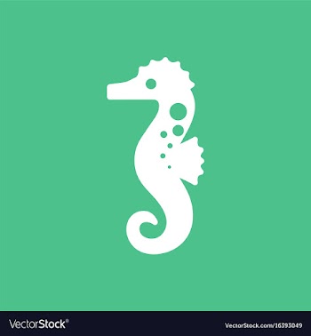 Sea horse vector image