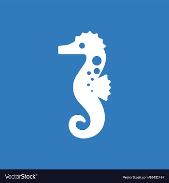 Sea horse vector image