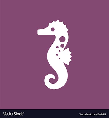 Sea horse vector image