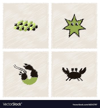 Sea life and underwater seabed animals collection vector image