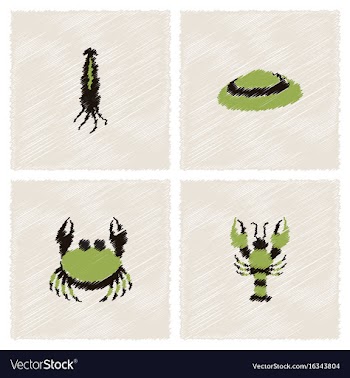 Sea life and underwater seabed animals collection vector image