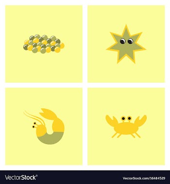 Sea life and underwater seabed animals collection vector image