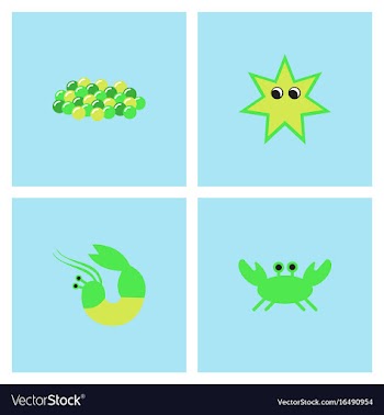 Sea life and underwater seabed animals collection vector image