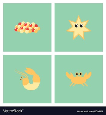 Sea life and underwater seabed animals set vector image