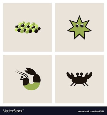 Sea life and underwater seabed animals set vector image