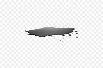 Sea lion Marine mammal Pinniped Black and white - puddle 