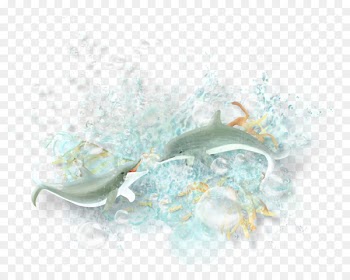 Sea Marine mammal Birthday Easter Clip art - sea 