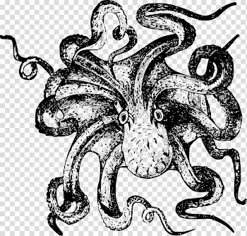 Sea monster Drawing Line art , others transparent background PNG clipart