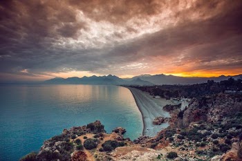 sea near trees under gloomy sky