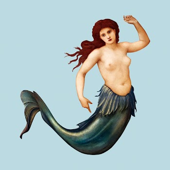 Sea-Nymph vector illustration, remixed from… | Free stock illustration | High Resolution graphic