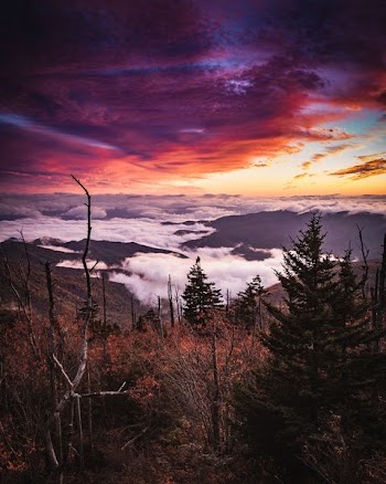 sea of clouds on mountain