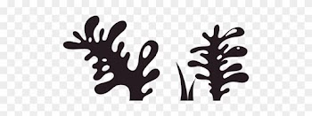 Sea Plants Silhouette Png