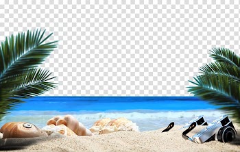 Sea shell and camera on shore, Ocean Beach Sandy Beach Sea, Ocean Beach plant transparent background PNG clipart