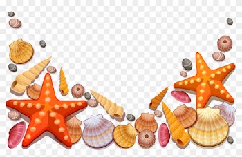 Sea Shells Decor Png Vector Clipart - Sea Shells Shower Curtain