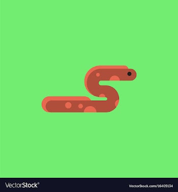Sea snake vector image