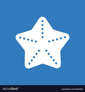 Sea star caribbean starfish vector image