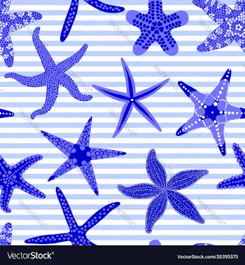  					Sea stars seamless pattern marine striped vector image														