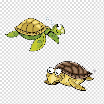 Sea turtle Animation Cartoon, Two turtles transparent background PNG clipart