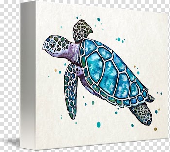 Sea turtle Art Watercolor painting, turtle transparent background PNG clipart