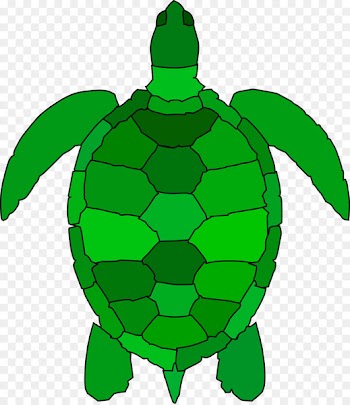 Sea turtle Clip art Openclipart Free content - turtle 