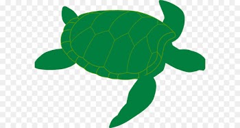 Sea turtle Clip art Openclipart Reptile - default watercolor 