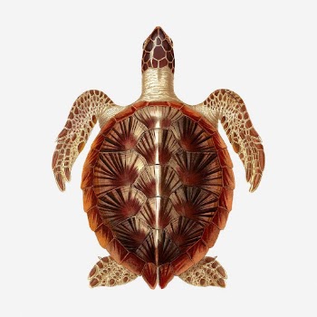 Sea turtle clipart, vintage sea | Free Photo - rawpixel