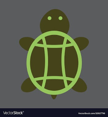 Sea turtle hand drawn turtle isolated on vector image