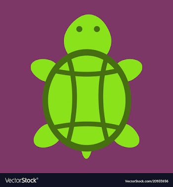 Sea turtle hand drawn turtle isolated on vector image