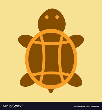 Sea turtle hand drawn turtle isolated on vector image