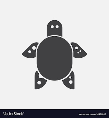 Sea turtle icon vector image