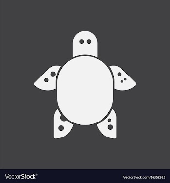 Sea turtle icon vector image