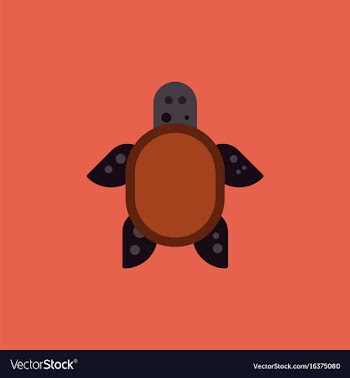 Sea turtle icon vector image