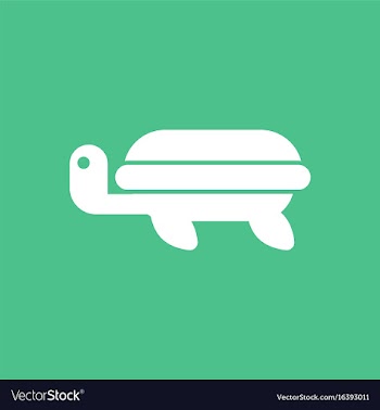 Sea turtle icon vector image