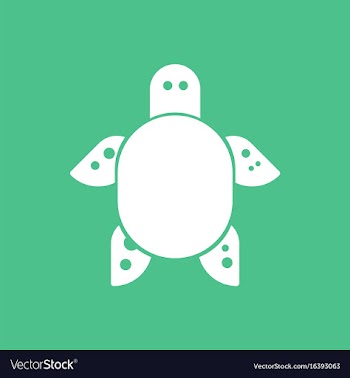 Sea turtle icon vector image