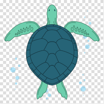 Sea turtle illustration - Transparent PNG & SVG vector
