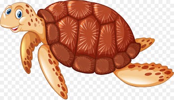 Sea turtle Illustration - Turtle vector 