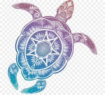 Sea turtle RSS Web feed Blog Tortoise - sea turtle 