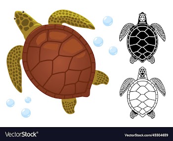sea turtle sea turtle black and white symbol ico