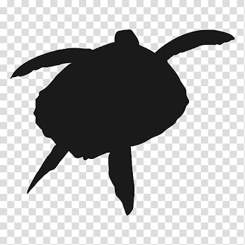 Sea turtle Silhouette, Watercolor turtle transparent background PNG clipart