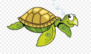 Sea turtle Tortoise Cartoon - Bubble turtle cartoon turtle 