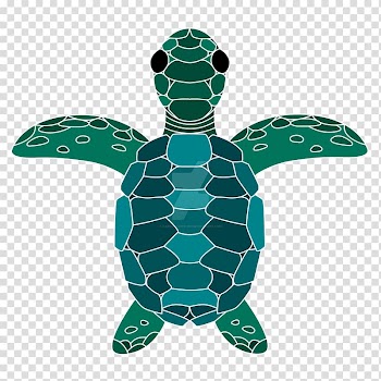 Sea turtle Tortoise Red panda Leopard, lined sea transparent background PNG clipart