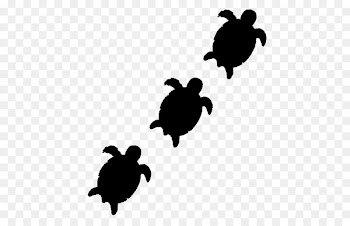 Sea Turtle, Turtle, Black White M PNG