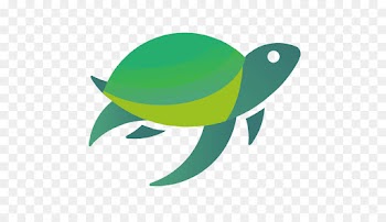 Sea Turtle, Turtle, Marine Mammal PNG