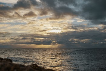 Sea Under Gray Cloudy Sky during Dawn