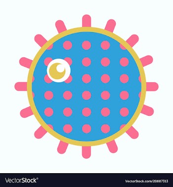 Sea urchin isolated on background vector image