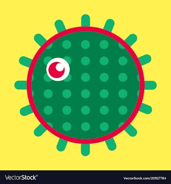 Sea urchin isolated on background vector image