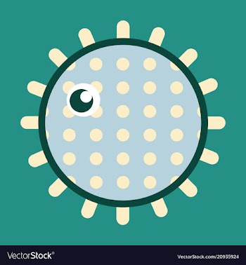 Sea urchin isolated on background vector image